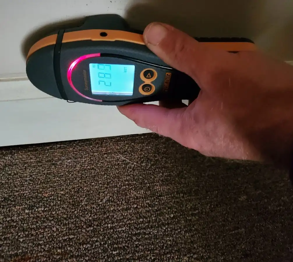 Moisture detection at baseboard during Sewage Cleanup & Sanitation in Orangevale